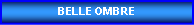Zone de Texte: BELLE OMBRE